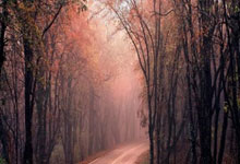 哪里能找到2019男篮世界杯回放完整版？